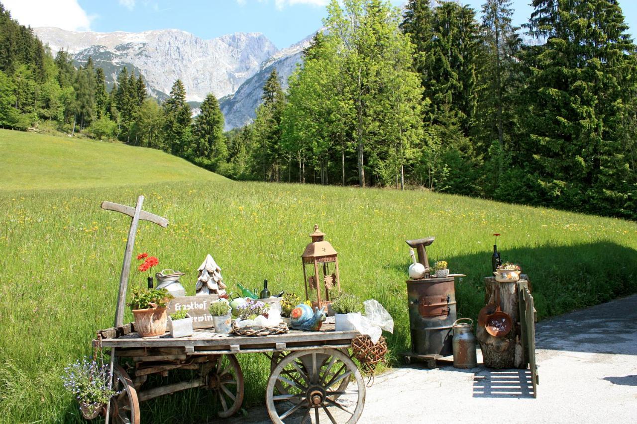 Boutique-Pension Jaegerwirt Scheffau am Wilden Kaiser Ngoại thất bức ảnh